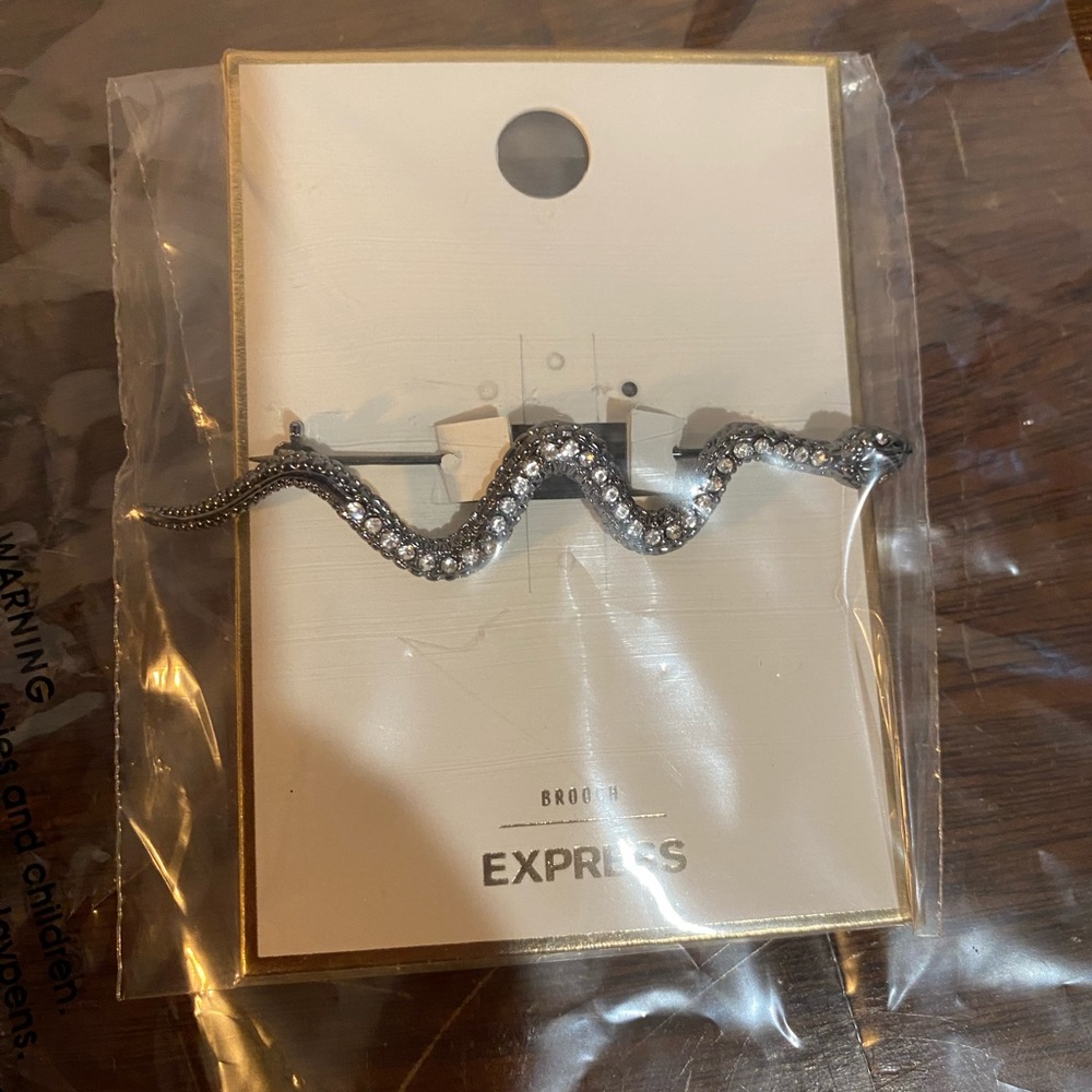 Express Rhinestone Snake Brooch - Picture 1 of 2